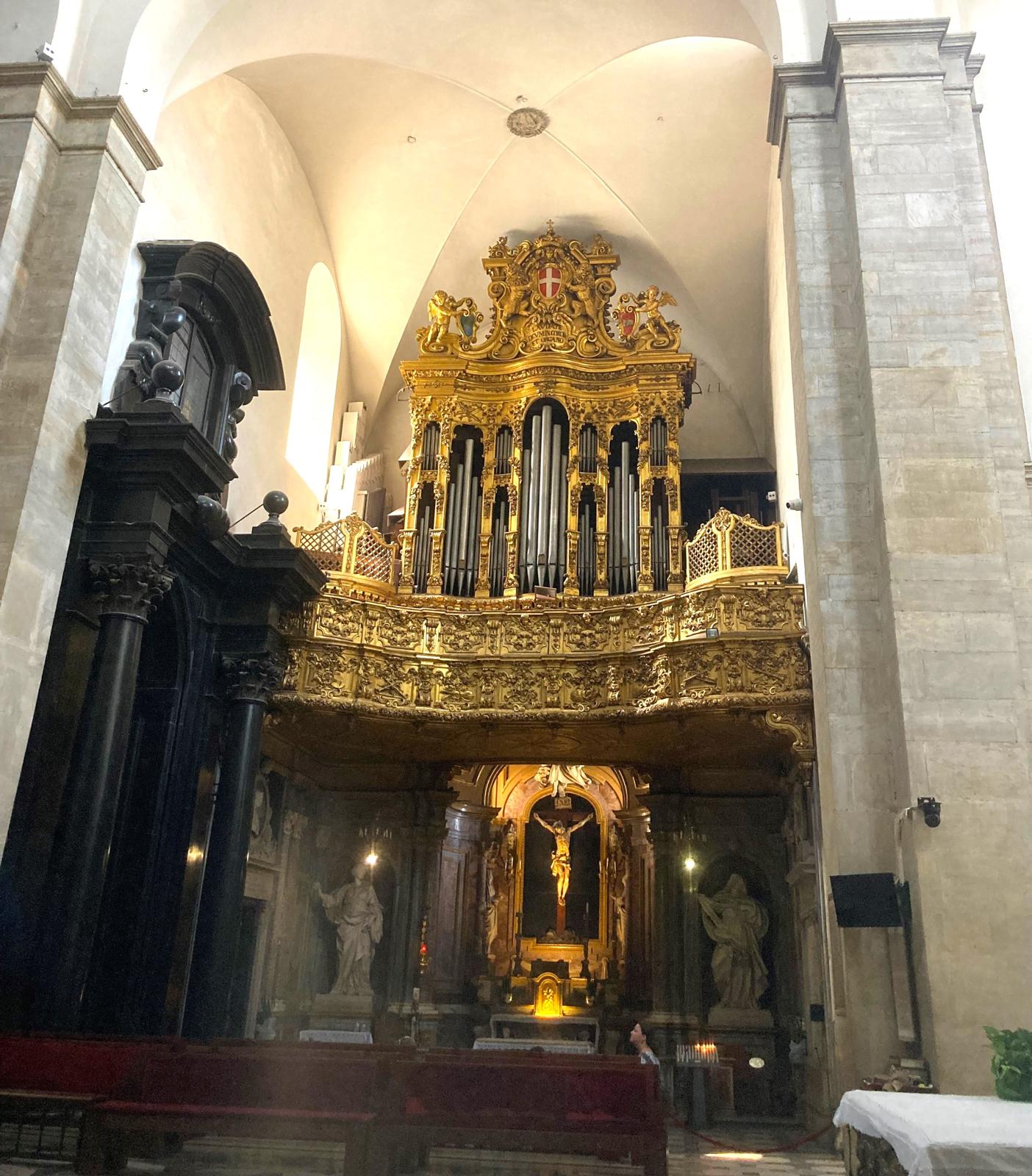 Organ